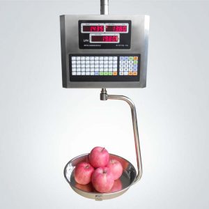 電子價(jià)秤UPA-T